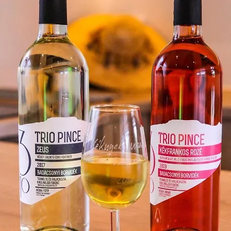 Naposoldal Vendeghaz