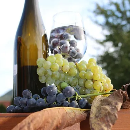 Naposoldal Vendeghaz アパート *