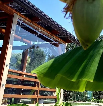 Апартаменты Naposoldal Vendeghaz *