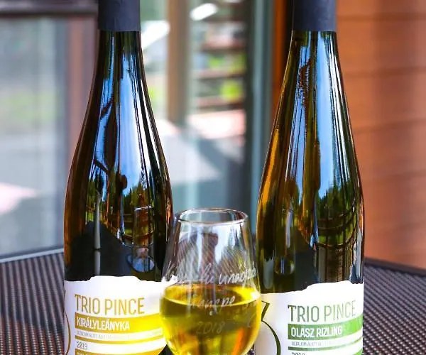 Naposoldal Appartamento