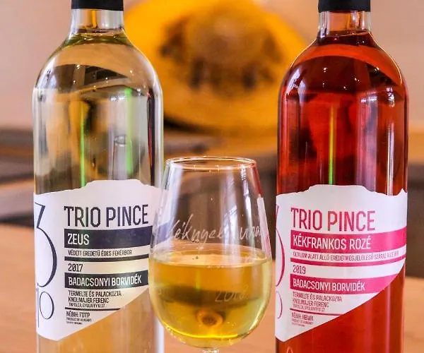 Naposoldal Vendeghaz