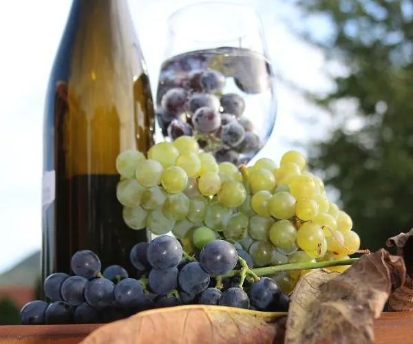 Naposoldal Vendeghaz Apartament *