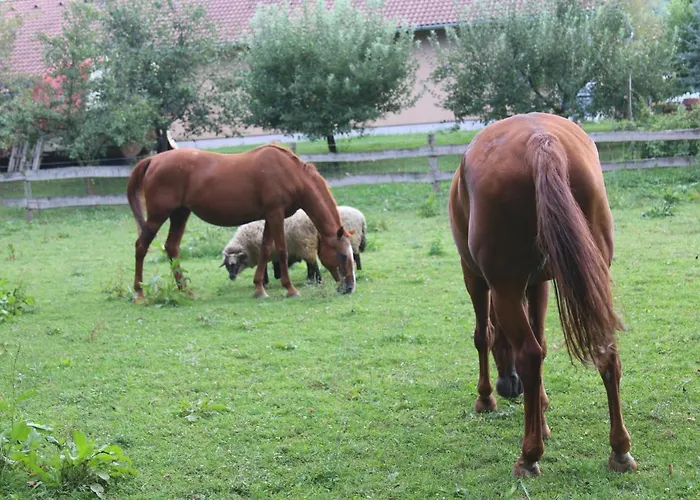 Appartamento Naposoldal
